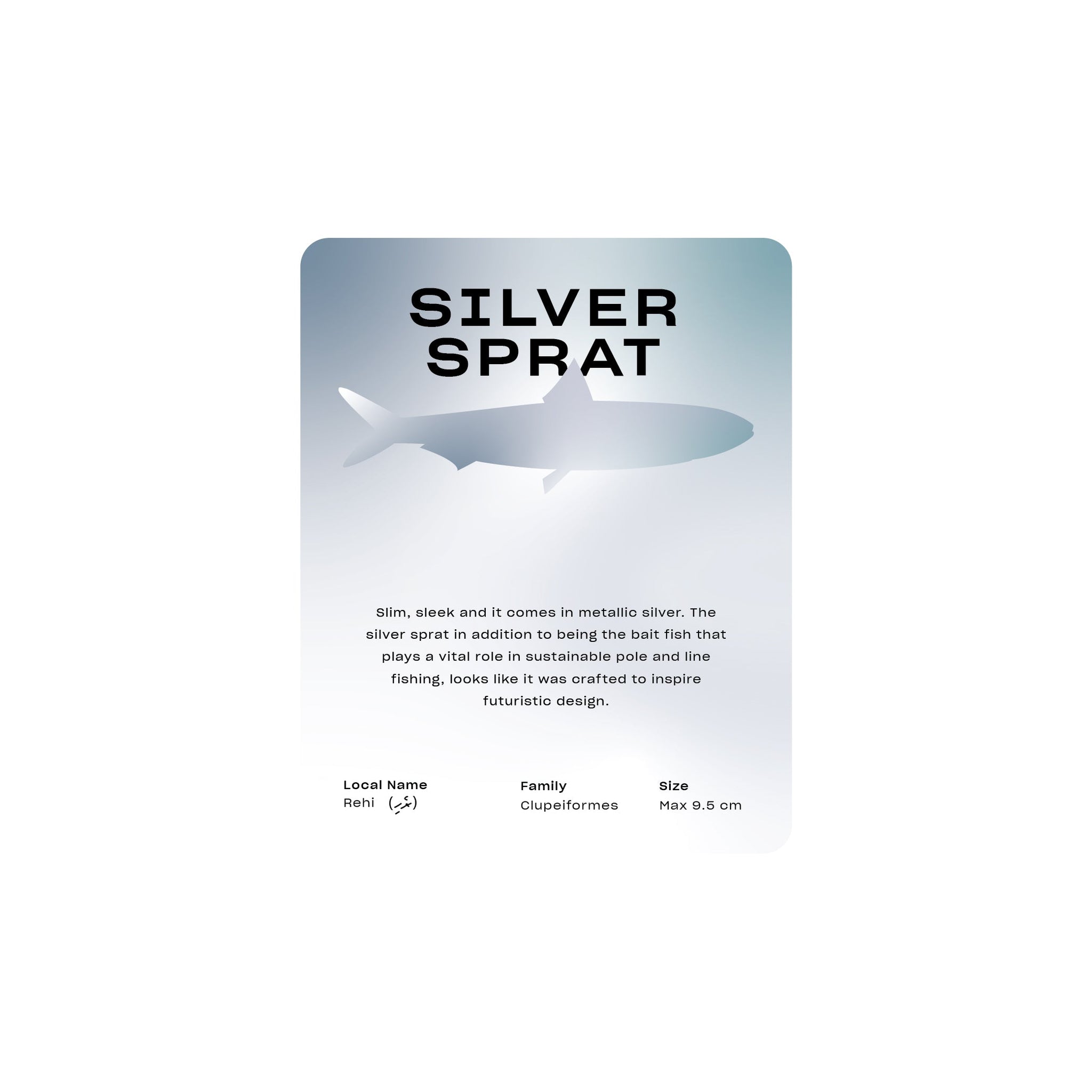Silver Sprat - Round Frame - Toddy Inc
